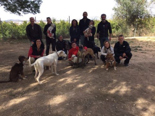 Seminario Entrenamiento con clicker, CANILAND, Educación y adiestramiento canino, Valencia