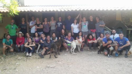 TALLER comunicación canina SPASAV, Escuela canina CANILAND, Educación y adiestramiento canino, Valencia