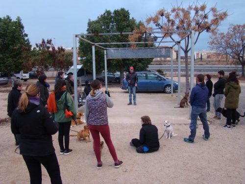 Seminario Gestión emocional a través de Olfato, Caniland Escuela Canina Valencia
